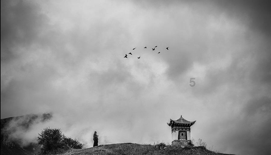 石头科技智能洗地机a20系列开启首销,可享受多重优惠